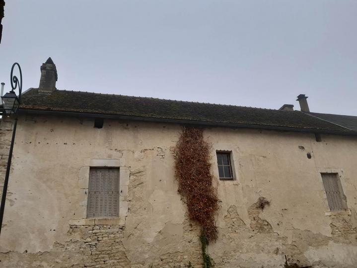 Travaux de démoussage de toiture Bar-sur-Seine